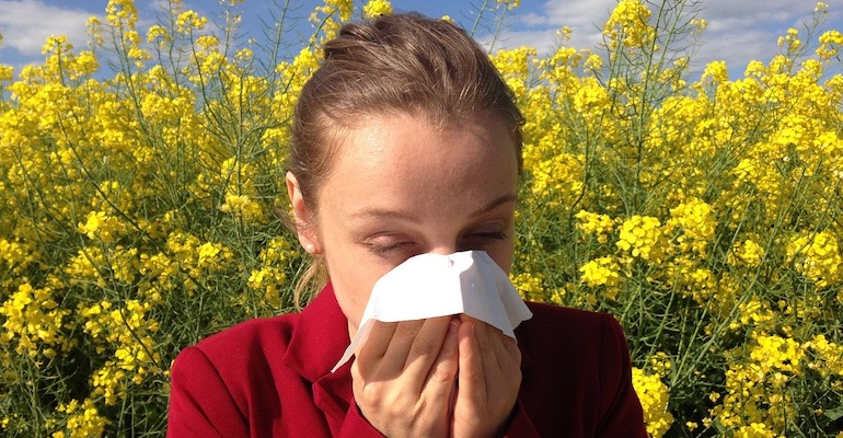 Allergi
